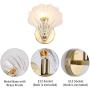 Set of 2 Modern Wall Sconces Gold Indoor Hallway Lighting Fixtures with Shell-Shaped Glass Shade Vintage Golden Wall Lights for Bedroom with E12 Socket, Bulbs Excluded