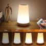 Table Lamp Touch Night Light - Portable Sensor Remote Control Bedside Lamps with Quick Rechargeable USB Dimmable Warm White Light 13 Colors RGB Table Lamp for Bedroom Living Room Office (White Wood)