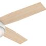 Hunter Dempsey Indoor / Outdoor Ceiling Fan with LED Light and Remote Control, 52'', White
