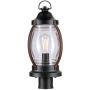 Westinghouse Lighting 6578800 Canyon Rustic One-Light Outdoor Post Top Light Fixture Textured Black and Barnwood Finish, Clear Glass