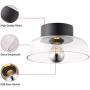 TeHenoo Ceiling Light Fixture with Clear Glass Shade Flush Mount for Dining Room, Bedroom, Cafe, Bar, Corridor, Hallway, Entryway, Passway