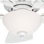 Hunter Fan 34 inch Snow White Finish Ceiling Fan with Painted Cased White Glass Light Kit (Renewed)
