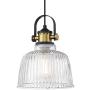 Autelo Modern Pendant Light, 1-Light Hanging Light Fixture with Glass Shade for Kitchen Island Dining Room H3700-1 CL