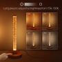 Luxvista Touch Desk Lamp with 1 USB Charging Port and 1 DC Outlet - 5W DC 5V Dimmable Nightlight Wooden Base Perfect Decoration for Bedroom Living Room Nursery (Warm White 2200K, 2-Pack)