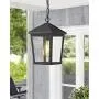 Zeyu Outdoor Pendant Light, Exterior Hanging Light Ceiling Lantern for Hallway Porch, Black Finish with Clear Glass, 20076H