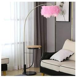 JYXPOWER Light LED Floor Lamp Home Lighting Decoration Lamp - Living Room Study Room Reading Lamp with USB and Wireless Charging Tall Lamps (Color : Pink, Size : 86cm168cm)