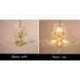 Ganeed Crystal Chandeliers,Vintage Pendant Lighting Crystal Chandelier Lighting Fixtures with 8 Lights,Ceiling Light Fixture for Living Room Bedroom Restaurant Porch Hallway (Gold)