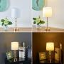 FERWVEW Modern Gold Small Nightstand Lamps Bedside End Table Lamp, Accent Lamp for Living Dining Room Bedroom Coffee Kitchen Entryway