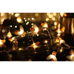 Honeybee Fairy String Lights, Merdeco Plug in String Lights 10ft 20 LED Warm White Lights for Party/Birthday/Wedding/Christmas Indoor Outdoor Decoration