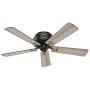 HUNTER 55080 Cedar Key Indoor / Outdoor with LED Light and Remote Control, 52'', Matte Black