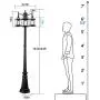 CINOTON Outdoor Lamp Post Light, 3-Head Surface-Mount Post Waterproof Outside Pole Light Aluminum, Black Birdcage Design Outdoor Street Light Pole Lamp Triple-Head for Backyard, Patio, Garden, Walkway