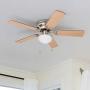 Prominence Home 80029-01 Alvina Led Globe Light Hugger/Low Profile Ceiling Fan, 42 inches, Satin Nickel