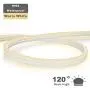 iNextStation Neon LED Strip Light 16.4ft/5m 12V DC 600 SMD2835 LEDs Waterproof Flexible LED NEON Light for Indoors Outdoors Decor [ Warm White | No Power Adapter]