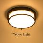 Berliget 12 Inch Metal Industrial Brown 2 Lights Flush Mount Ceiling Light, Hallway Round Modern Bright Ceiling Light Fixture for Kitchen, Bedroom, Laundry, Living Room