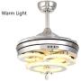 Lighting Groups 42 Inch Retractable Ceiling Fans with Light Remote Control 4 Invisible Clear Acrylic Reverse Blades Bedroom Dining Room Ceiling Fan Chandelier Indoor Fandelier Light Kits with Fans (42 Inch, Silver)
