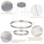 ROYAL PEARL Modern Foyer Pendant Light Dimmable LED Circular Chandelier with 2 Rings Adjustable Hanging Pendant Lighting for Living Dining Room Bedroom Silver Lamp,Silver