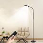 Floor Lamp, Tomshine Touch LED Floor Lamp Stepless Dimming with Remote Control, 4 Colors Temperatures Standing Lamp with Gooseneck for Living Room Bedroom Office Reading