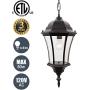 Goalplus Outdoor Pendant Light FIxture Bronze Hanging Porch Light Vintage Exterior Hanging Lantern with Clear Seeded Glass, 17 3/4'' High, IP44 Waterproof, LMSP4610-M