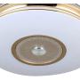 Lighting Groups 42'' Retractable Reversible Ceiling Fans with LED Light Remote Control 4 Invisible Clear ABS Blades Livingroom Dining Room Bedroom Fan Chandelier Indoor Ceiling Light Kits with Fans (42 Inch, Gold-02)