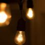 Bulbrite 14 ft, 10-Socket Decorative Kit with Clear Incandescent STRING10/E26/BLACK-S14KT Indoor and Outdoor String Lights, Foot, Black