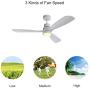 Indoor Ceiling Fan Light Fixtures Ceiling Fan with Remote & 3 Wood Blade for Bedroom, Living Room, Dining Room Including Motor, Reversible Switch