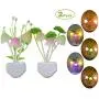 [2 Pack] LED Night Light Plug in with Dusk to Dawn Sensor, Plug in Wall LED Mushroom Nightlight Lamp for Kids Adults, Bedroom, Bathroom, Kitchen, Hallway, Stairs, Cute Color Changing