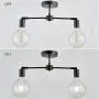 ANJIADENGSHI Matte Black Ceiling Light, 2-Light Modern Style Ceiling Lights Fixture for Living Room Dining Room Kitchen Bedroom, NO Bulb