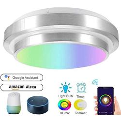 Smart Ceiling Light LED Ceiling Light for Bedroom,RGB Multicolor LED Bed Room Lamp Compatible with Alexa Echo Google Home Siri Dimmable Voice Remote Control Light Fixture for Living Room,13''18W