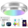 Smart Ceiling Light LED Ceiling Light for Bedroom,RGB Multicolor LED Bed Room Lamp Compatible with Alexa Echo Google Home Siri Dimmable Voice Remote Control Light Fixture for Living Room,13''18W