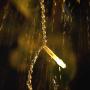 JMEXSUSS 33ft 100 LED Christmas Lights Indoor Plug in Fairy String Lights Outdoor Waterproof 8 Modes Christmas Tree Lights Warm White for Bedroom Room Wall Wedding Party Decoration