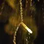 JMEXSUSS 33ft 100 LED Christmas Lights Indoor Plug in Fairy String Lights Outdoor Waterproof 8 Modes Christmas Tree Lights Warm White for Bedroom Room Wall Wedding Party Decoration JMEXSUSS 33ft 100 LED Christmas Lights Indoor Plug in Fairy String Lights Outdoor Waterproof 8 Modes Christmas Tree Lights Warm White for Bedroom Room Wall Wedding Party Decoration