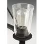 Progress Lighting P400016-143 Debut Chandeliers, Black