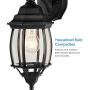 NOMA Four-Sided Outdoor Wall Lantern | Waterproof Down-Facing Lights | Black Finish with Clear Bevelled Glass Panels