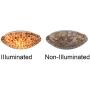 Tiffany Ceiling Lights, Artzone Handcrafted Tiffany Ceiling Light Fixture, Stained Glass Ceiling Light for Foyer, Living Room, Dining Room, Bedroom, Bathroom - 12'' Natural Shell Lampshade