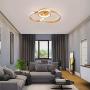 Ganeed Dimmale Flush Mount Ceiling Light,146W Acrylic Comtemporary LED Chandelier with Three Circles,LED Ceiling Lamp Fixture for Kitchen Foyer Dining Room Living Room Bedroom Bar(3000-6500K)