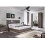 Honeywell Ceiling Fans 50195 Rio 54'' Ceiling Fan with Integrated Light Kit and Remote Control, Brushed Nickel