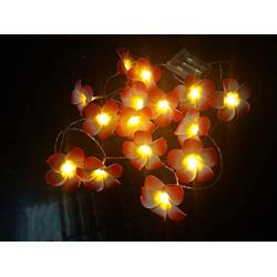 Fantasee 20 LED Pink Plumeria String Lights, Foam Artificial Plumeria Flower Lights Battery Operated Fairy Lights for Bedroom Home Wedding Hawaiian Luau Party Decor