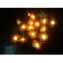 Fantasee 20 LED Pink Plumeria String Lights, Foam Artificial Plumeria Flower Lights Battery Operated Fairy Lights for Bedroom Home Wedding Hawaiian Luau Party Decor