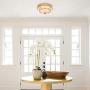 Loclgpm Gold Finish Flush Mount Ceiling Light, 2 Light Chandelier Fixture with Glass Shade for Living Room, Dining Room, Bedroom, Kitchen, Hallway