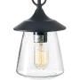 LOG BARN Outdoor Pendant Lights, Porch Fixture in Painted Black Metal with Clear Bubbled Glass Globe, Hanging Lantern Lamp for Gazebo, Entry, Yard