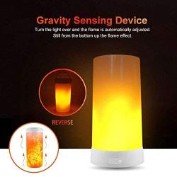 LED Flame Effect Light,4 Modes Fire Lights, USB Rechargable Candle Flame Table Lamp with Remote Contro& Timer Desk Lamp, Used in Living Room Bedroom Family Gathering bar Camping Party