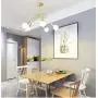 Ganeed Modern Chandelier, Mid-Century 5 Lights Gold Sputnik Pendant Lighting,Industrial Brushed Nickel Ceiling Light Fixture for Kitchen Dining Room Living Room,Gold
