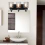 Contemporary 3-Light Vanity Light Fixture Modern Clear Glass Shades Lighting Black Dining Room Lighting Fixtures (3-Light)