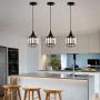 TFCFL 3 Pack Pendant Light Fixture, Industrial Crystal Ceiling Hanging Lighting Adjustable for Dining Room Living Room Kitchen Island (Black)
