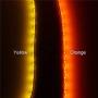 ALITOVE Orange LED Strip Lights 16.4ft 5050 SMD Black PCB 5M 300 LEDs Waterproof IP65 12V DC for Home Hotels Clubs Shopping malls Cars Lighting ALITOVE Orange LED Strip Lights 16.4ft 5050 SMD Black PCB 5M 300 LEDs Waterproof IP65 12V DC for Home Hotels Clubs Shopping malls Cars Lighting