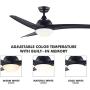 CO-Z 52 Modern Ceiling Fan with Lights and Remote in Black Finish, Contemporary Ceiling Fans with LED Light for Bedroom, Living Room, Kitchen, Industrial Ceiling Fan with 3 ABS Blades Reversible