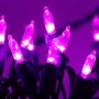 Joiedomi Purple LED Green Wire 100-count Christmas Light, Purple LED Lights for Indoor/Outdoor Christmas Decorations