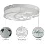 Creative LED Flush Mount Ceiling Light, CraftThink Acrylic Chandeliers Moon Star Shape Lighting for Living Room Bedroom Kids Room (Color: Warm light, Size: 16inch)