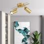 BOKT Flush Mount Ceiling Light 2 Heads Golden Track Lighting Fixture Modern Adjustable Ceiling Spotlight for Bedroom Living Room (2 Lights)