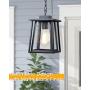 Jazava Outdoor Pendant Light One-Light Hanging Lantern, Exterior Hanging Lights for Porch, Matte Black Finish with Highlights and Clear Glass for House Entryway